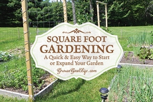 Square Foot Garden: A Quick & Easy Way to Begin a Garden | Grow a Good Life