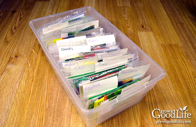shoe box tote filled with organized garden seeds