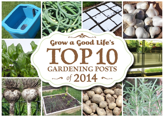 Grow a Good Life’s Top 10 Gardening Posts of 2014