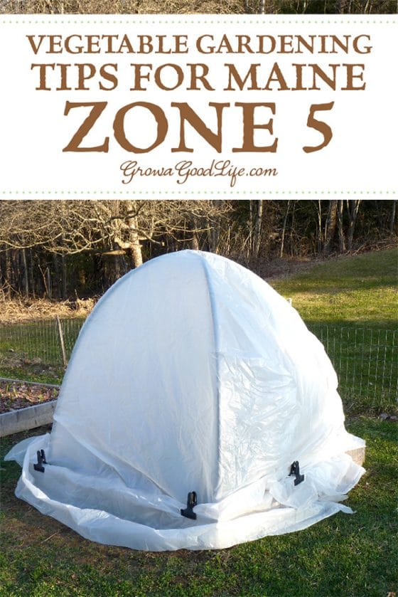 Vegetable Gardening Tips for Maine Zone 5