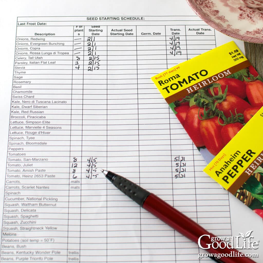 Overhead view of a seed starting schedule with seed packets, a pen, and a cup of tea on a table.