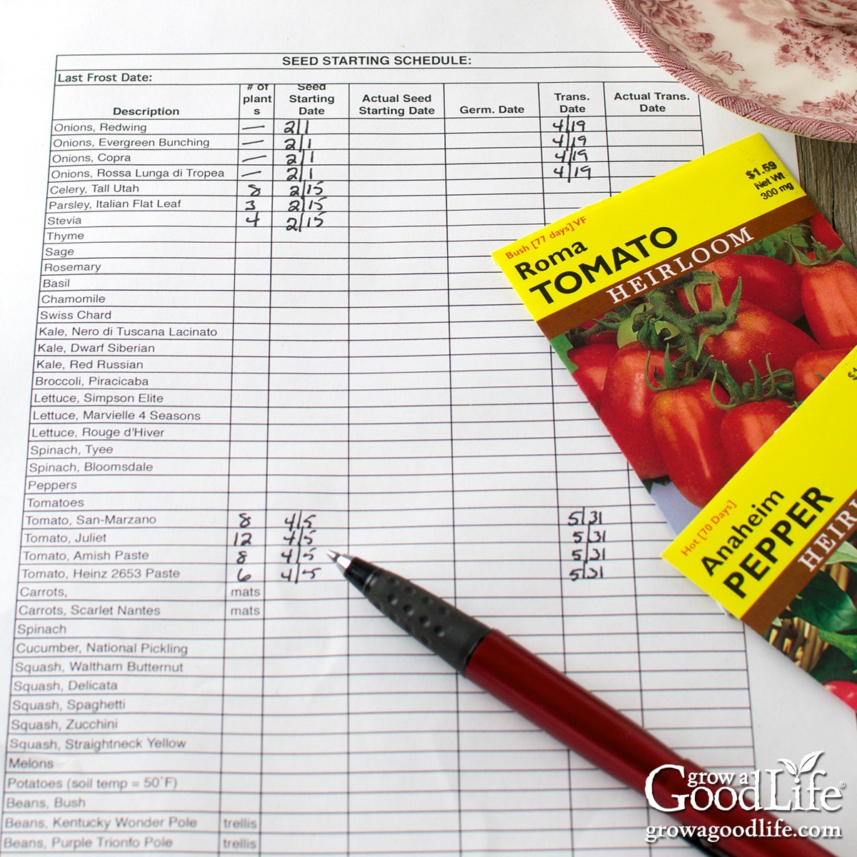 Overhead view of a seed starting schedule with seed packets, a pen, and a cup of tea on a table.