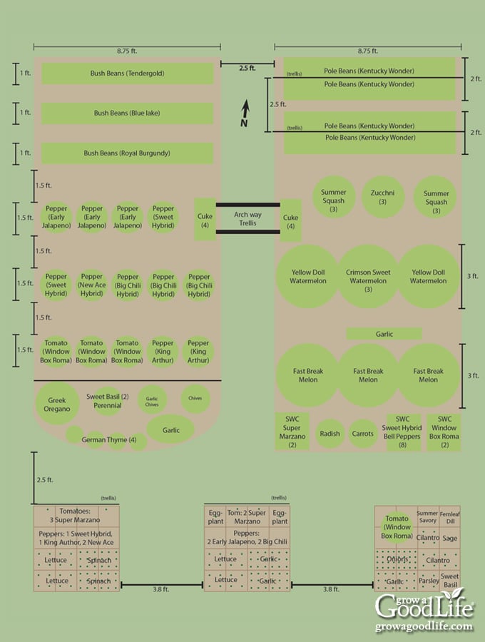 Plant Layout and Spacing in Raised Beds