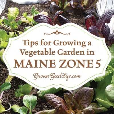Tips for growing a vegetable garden in colder climates.