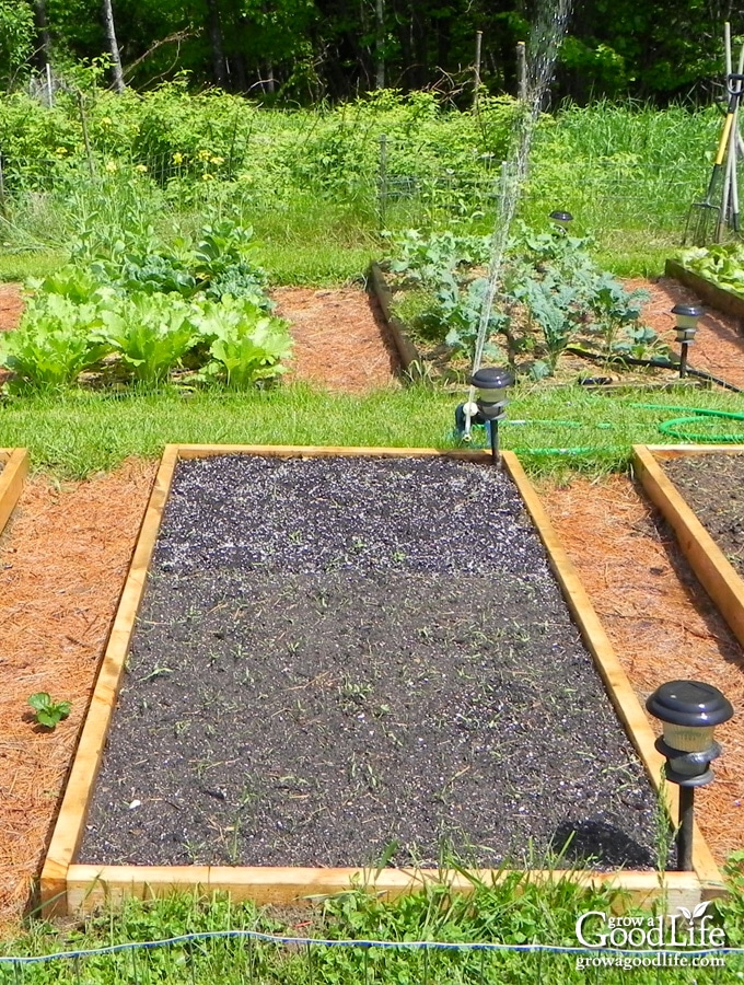 image of a raised bed vegetable garden