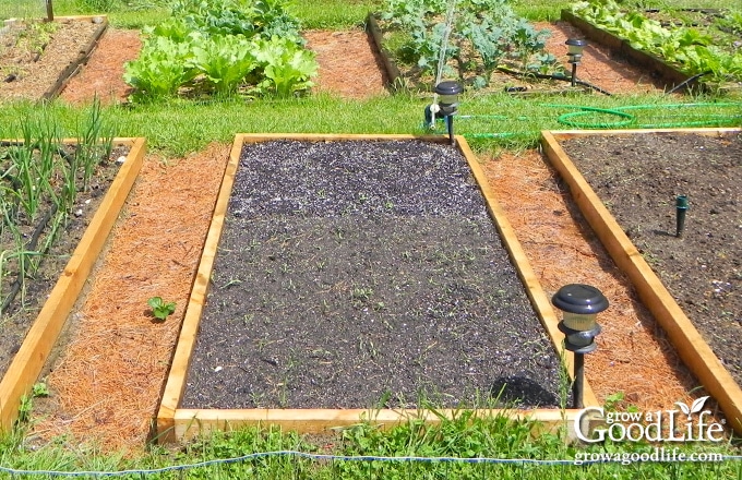photo of a raised garden bed