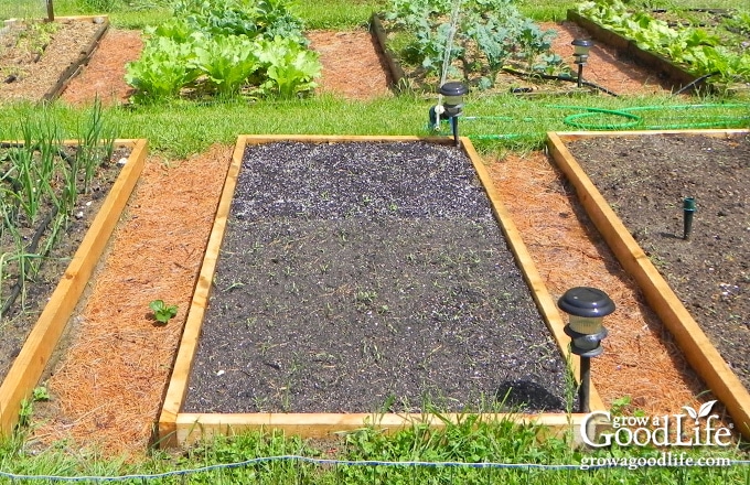 vegetable garden layout 20 x 20