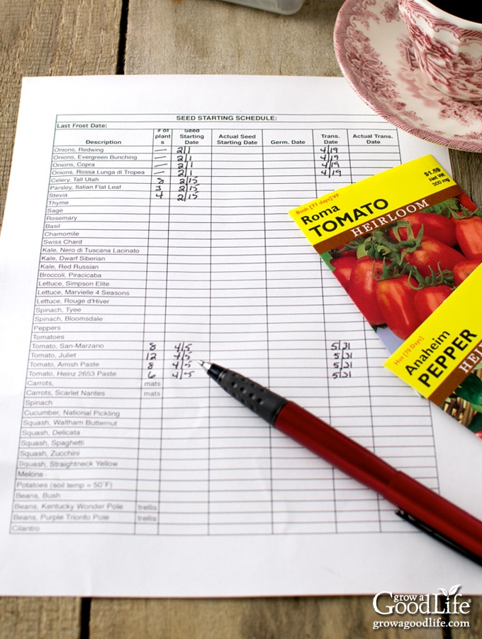 Planning Your Vegetable Garden: Seed Starting Schedule