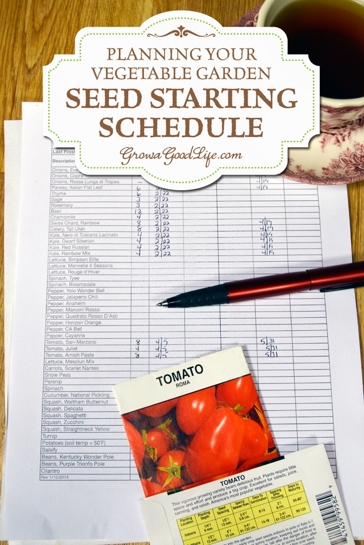 grow light schedule for seedlings