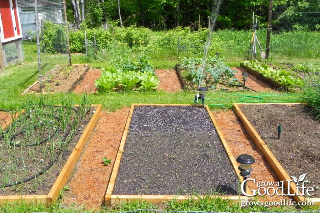 A vegetable garden ready for summer. planting.