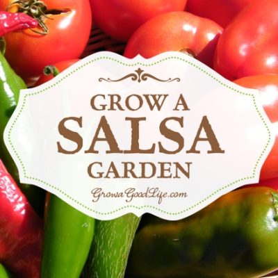 If you enjoy eating fresh salsa in the summer, growing a salsa garden will provide you with the fresh ingredients you need to whip up salsa at a moments notice. See how to plant a salsa garden.