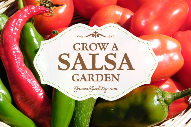 If you enjoy eating fresh salsa in the summer, growing a salsa garden will provide you with the fresh ingredients you need to whip up salsa at a moments notice. See how to plant a salsa garden.