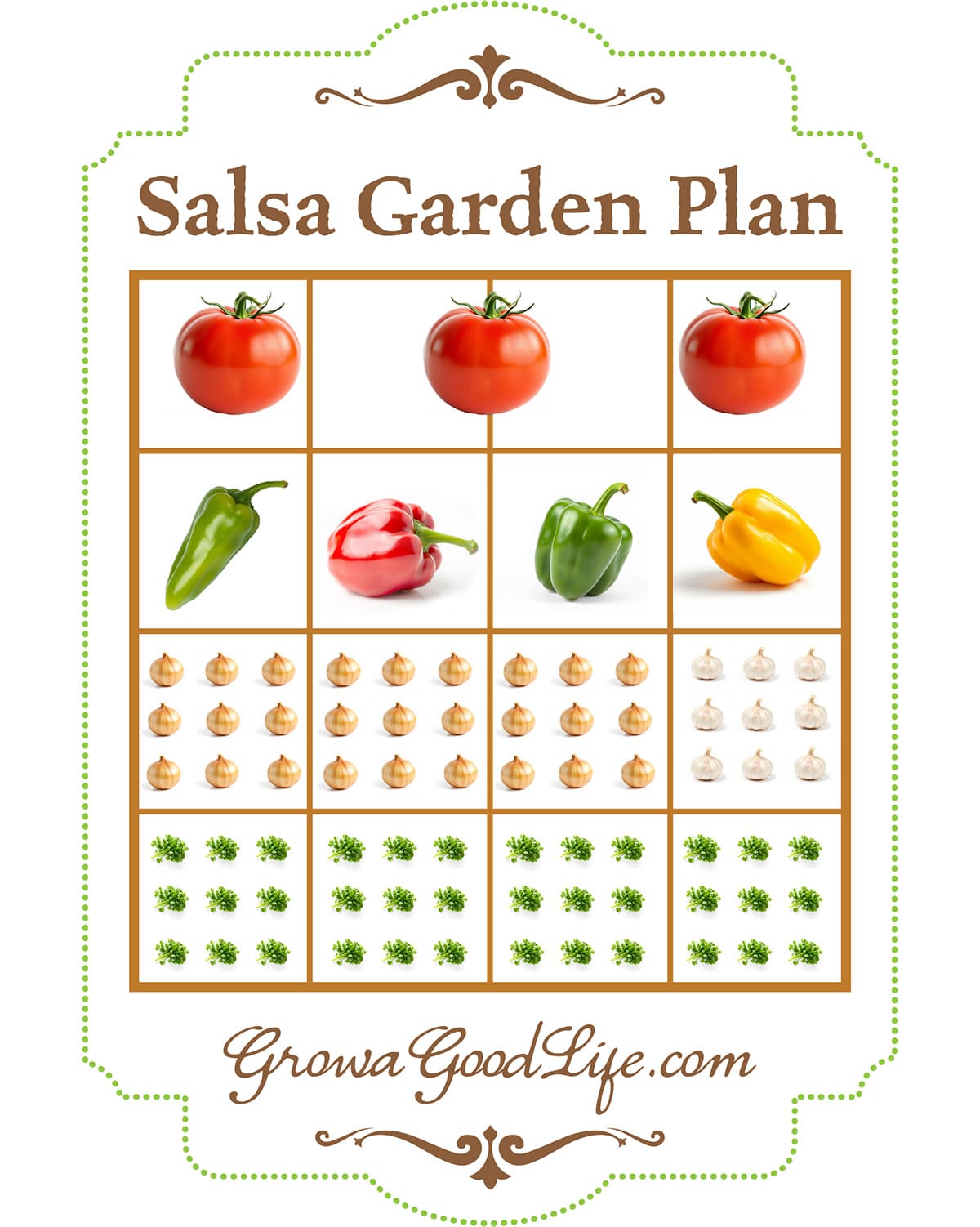 Illustration of a 4x4 foot salsa garden layout.