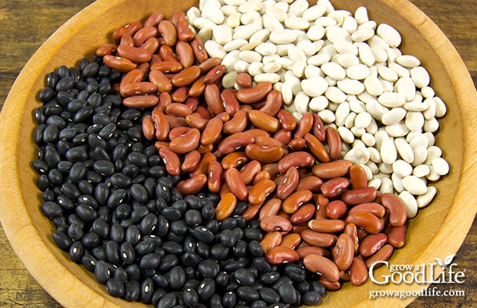 wooden bowl filled with dried beans including black, red kidney, and navy beans