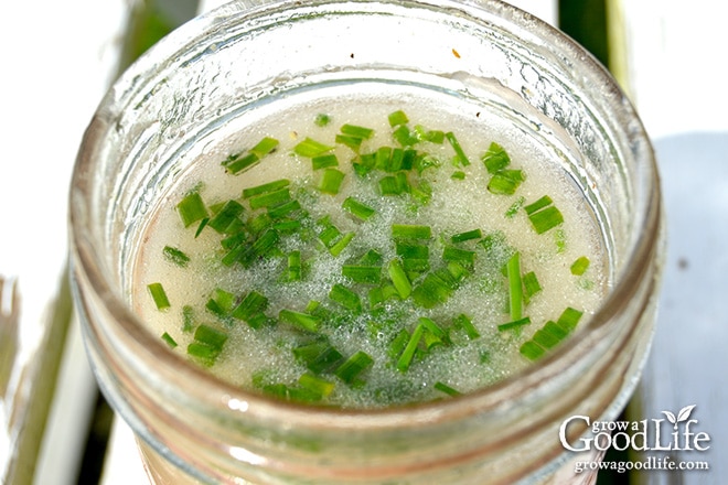 Homemade vinaigrette can be whipped up in only a few minutes with simple ingredients you already have in your kitchen. Try this chive vinaigrette recipe.