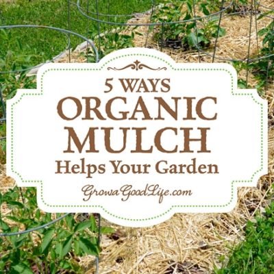 Mulch is any type of material that layered on the surface of the soil. Mulching your garden beds not only helps suppress weeds, it also prevents soil erosion and moderates soil-temperature fluctuations.