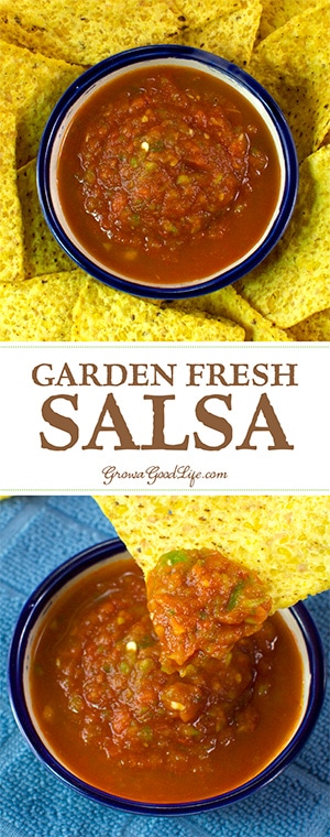 This garden fresh salsa recipe takes advantage of seasonal ingredients. It is so easy to make, just toss the ingredients into a food processor or blender, pulse it to the consistency you like, and enjoy.