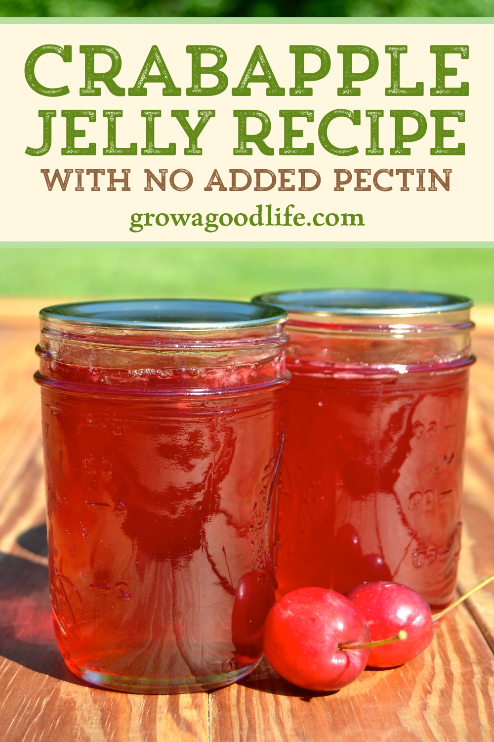 Homemade Crabapple Jelly with No Added Pectin