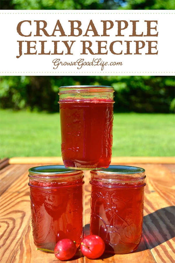 Transform the tart flavor of crabapples into a delicious homemade crabapple jelly. Crabapples have enough natural pectin so no additional pectin is needed for this crabapple jelly recipe.
