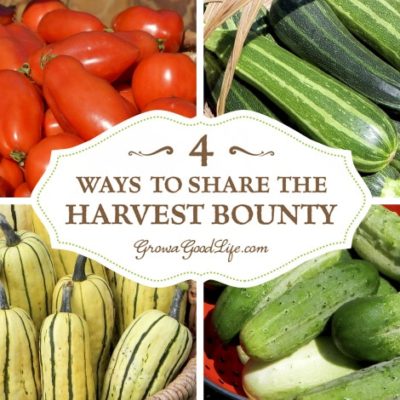 What do you do after you have preserved all the harvest that you can and the garden is still producing? Even when you take the time to try to estimate how many plants to grow for fresh produce and enough to preserve, often times there is a bumper crop of one thing or another. Here are some ways to share the harvest bounty instead of tossing the extras into the compost bin.