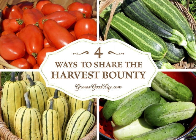 4 Ways to Share the Garden Harvest Bounty