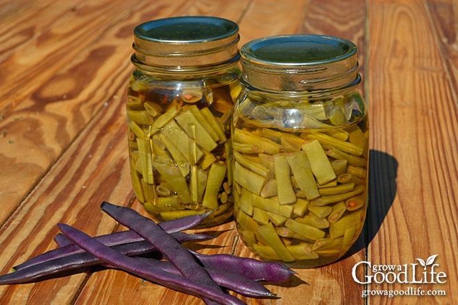 Celebrating the harvest and encouraging everyone to grow their own food! Sharing garden harvest photos for the week of September 21, 2015. Celebrating the harvest and encouraging everyone to grow their own food! Sharing garden harvest photos for the week of September 21, 2015.