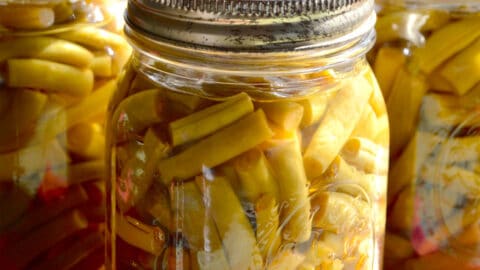 The Ultimate Guide to Pressure Canning: Hot Pack, Cold Pack, and
