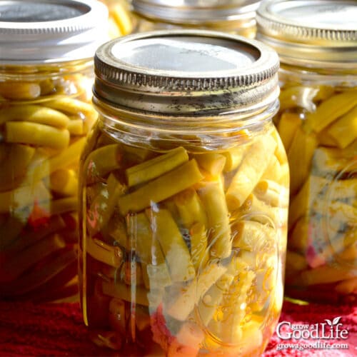 Canning 101: Tall Jars for Asparagus, Green Beans, and More – Food in Jars