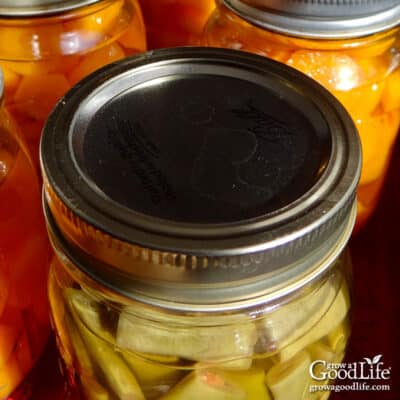 6 Tips to Prepare for Canning Season