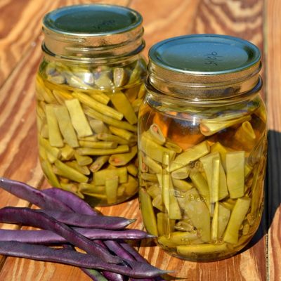 Preserve the abundance of string beans harvested from your garden with this safe canning recipe.