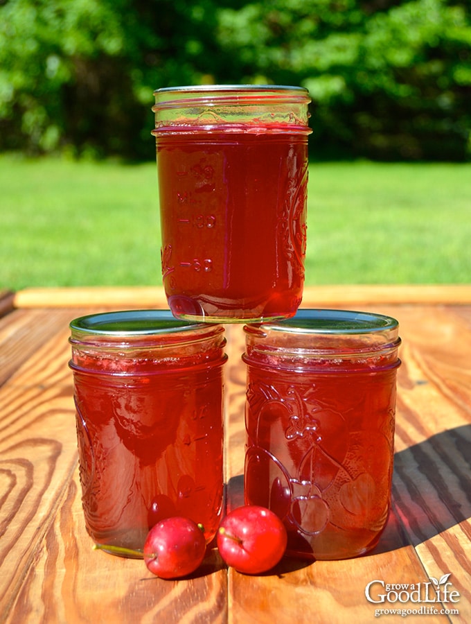 Homemade Crabapple Jelly With No Added Pectin