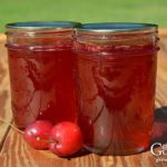 Transformera den syrliga smaken från crabapples till en läcker hemlagad crabapple gelé. Äpplen har tillräckligt med naturligt pektin så inget extra pektin behövs för detta recept på äppelgelé.