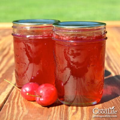two jars of home canned crab apple jelly on a wooden table