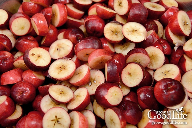 Verwerk de wrange smaak van wilde appels in een heerlijke zelfgemaakte gelei van wilde appels. Omdat krabappels genoeg natuurlijke pectine bevatten, is voor dit recept geen extra pectine nodig.