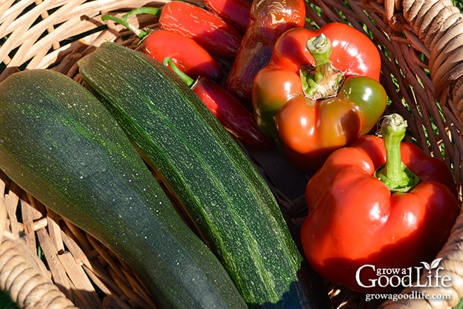 Celebrating the harvest and encouraging everyone to grow their own food! Sharing garden harvest photos for the week of September 21, 2015. Celebrating the harvest and encouraging everyone to grow their own food! Sharing garden harvest photos for the week of September 21, 2015.