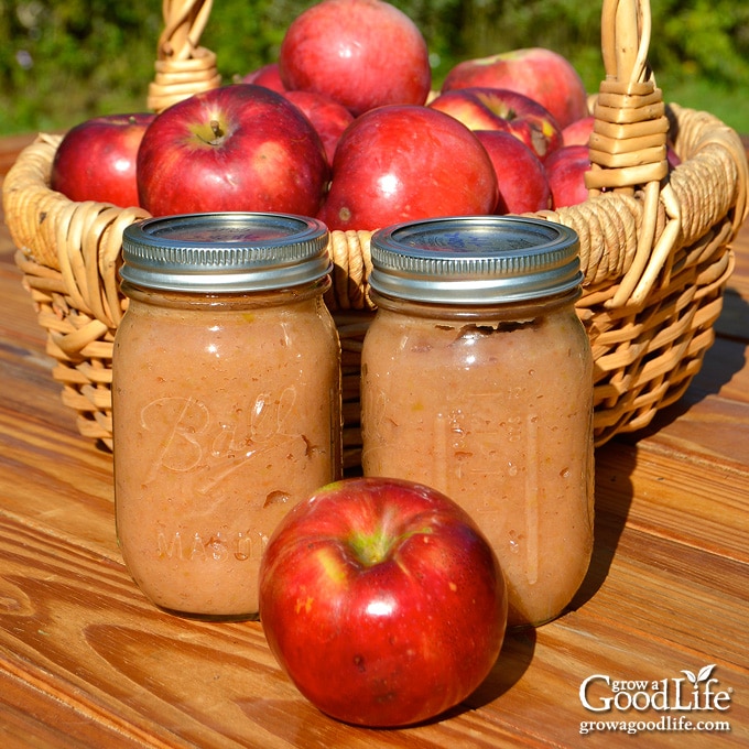 pint jars of home canned applesauce on a table