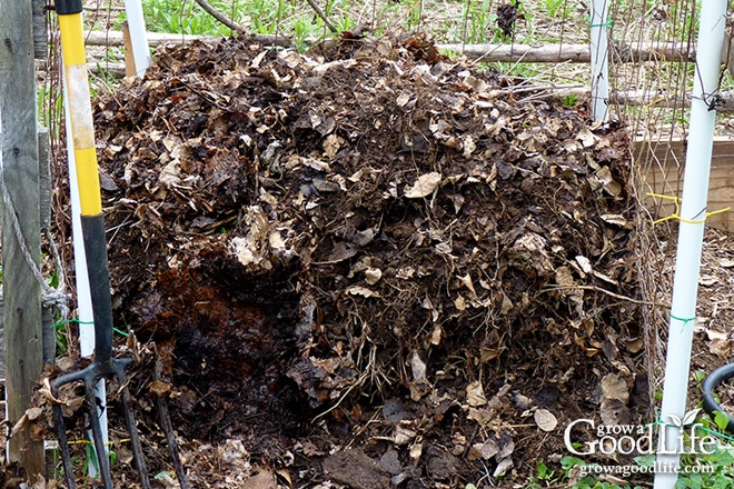 Making Compost, Using Leaf Bags to Compost, Fall Garden Care, Growing  Tips