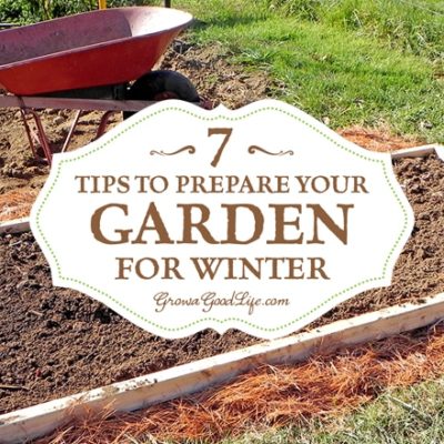 7 Tips to Prepare Your Vegetable Garden for Winter