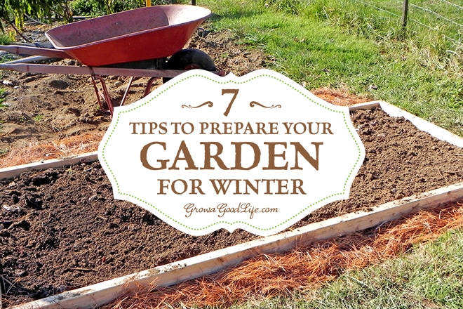 How To Prepare Your Raised Beds For Winter: Essential Tips