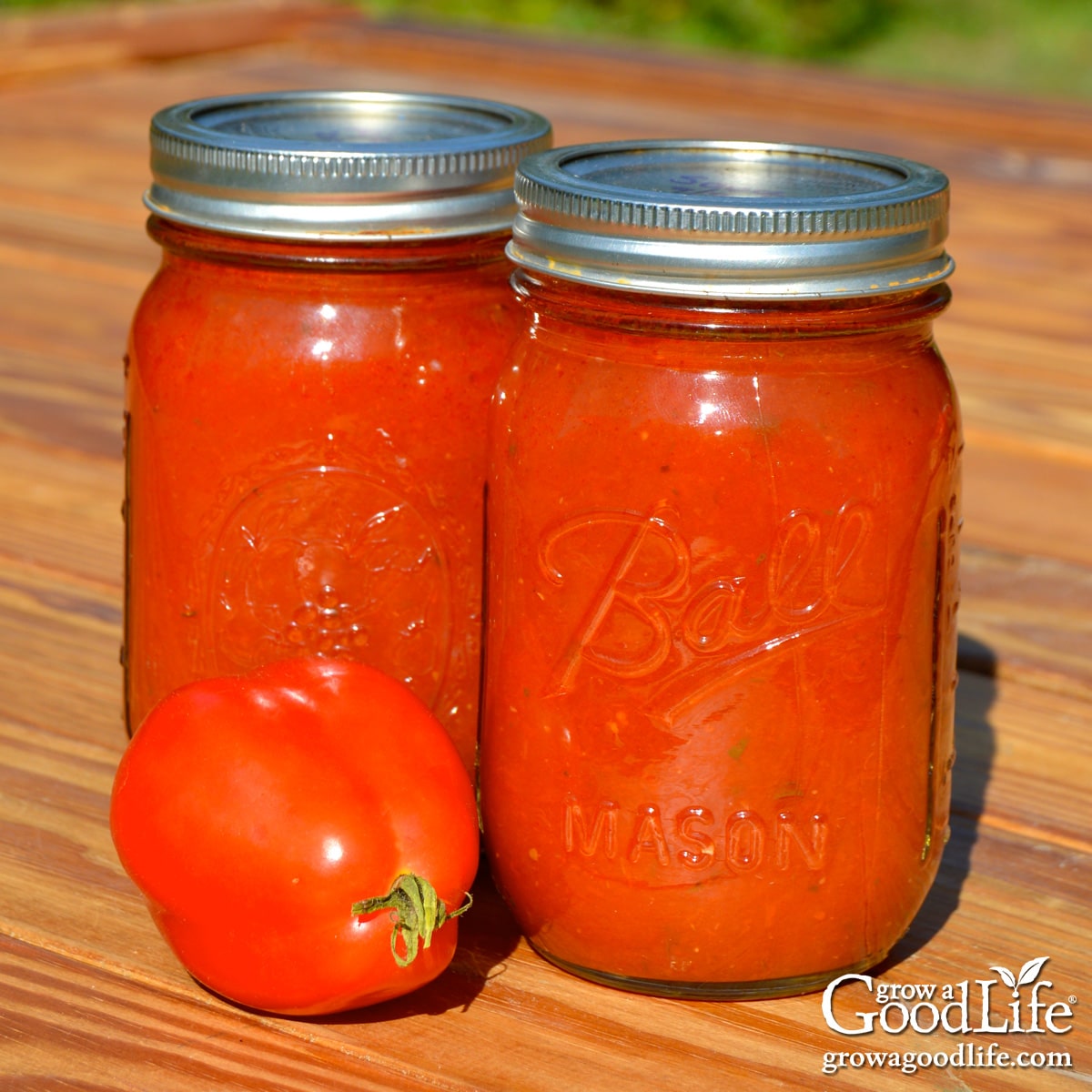 Two pint jars of seasoned tomato sauce for canning on a wooden table.