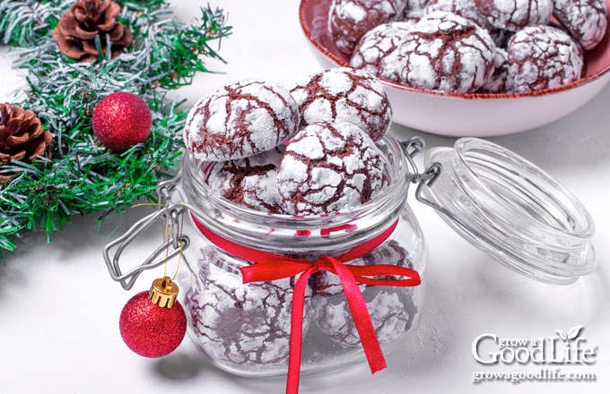 chocolate crinkle cookies in a gift jar