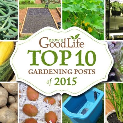 The end of the year is always a good time to reflect on the gardening articles that received the highest views, so I can see which posts you find the most helpful and useful. Evaluating the most popular posts helps me understand what kinds of information you are looking for and will shape the articles I write in the year to come as we share the journey to Grow a Good Life.