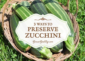 Zucchini and other Summer Squash are very prolific. It is easy to become overwhelmed by the harvest bounty collected from even a few plants. Here are three ways preserve it to help you deal with the abundant crop that just keeps on giving.