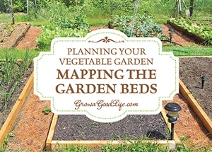 Before sowing a single seed, it is helpful to sketch a map of the garden so you know how many seedlings you will need, where they will be planted, and how you can keep each bed producing all through the growing season. Learn some things to consider when planning the garden.