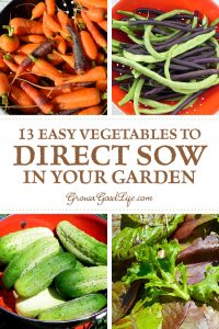 13 Easy Vegetables to Direct Sow