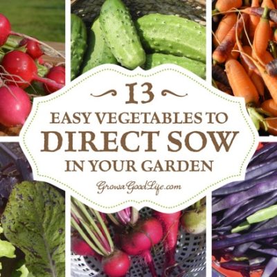 To direct sow your seeds just means to plant your seeds outdoors in the garden instead of starting the seeds indoors under lights. Plants that are either difficult to transplant or don't need extra time to get a jump start can be sowed directly into the ground. Here are 13 easy vegetables to direct sow in your garden.