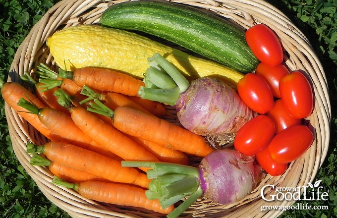 10 Reasons To Grow A Vegetable Garden