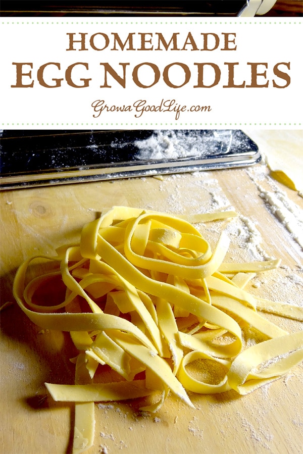 Homemade Egg Noodles