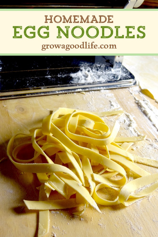 Homemade Egg Noodles