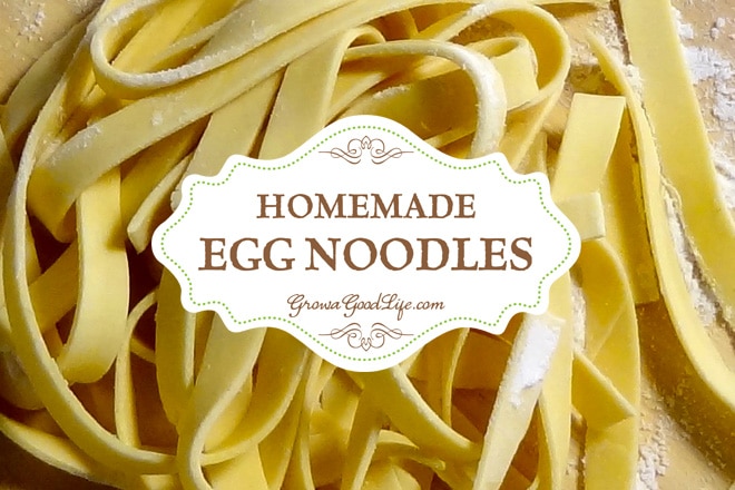 Three simple ingredients are all you need to make your own fresh, homemade egg noodles. If you keep a flock of chickens, egg noodles are a great way to use up your excess eggs.
